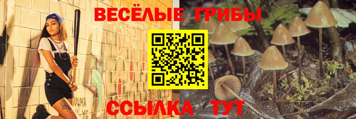 Псилоцибиновые грибы GOLDEN TEACHER  Псилоцибиновые грибы MAGIC MUSHROOMS  Вход с VPN  Ржев 